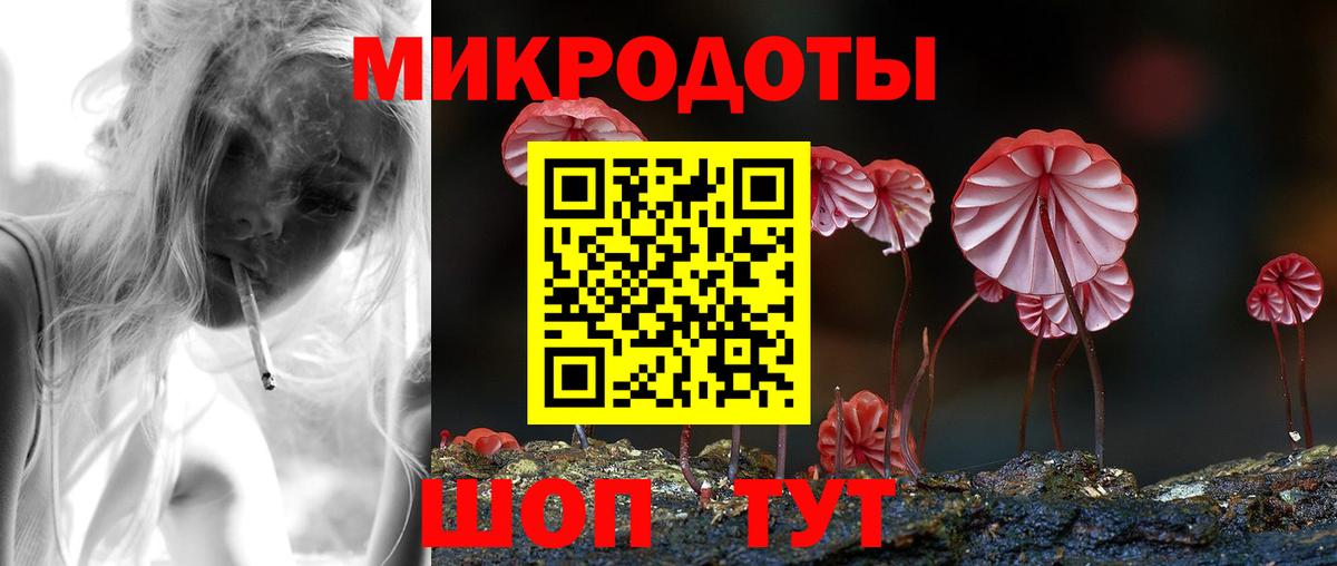 Сергиев Посад  Псилоцибиновые грибы Psilocybine cubensis  Вход с VPN 